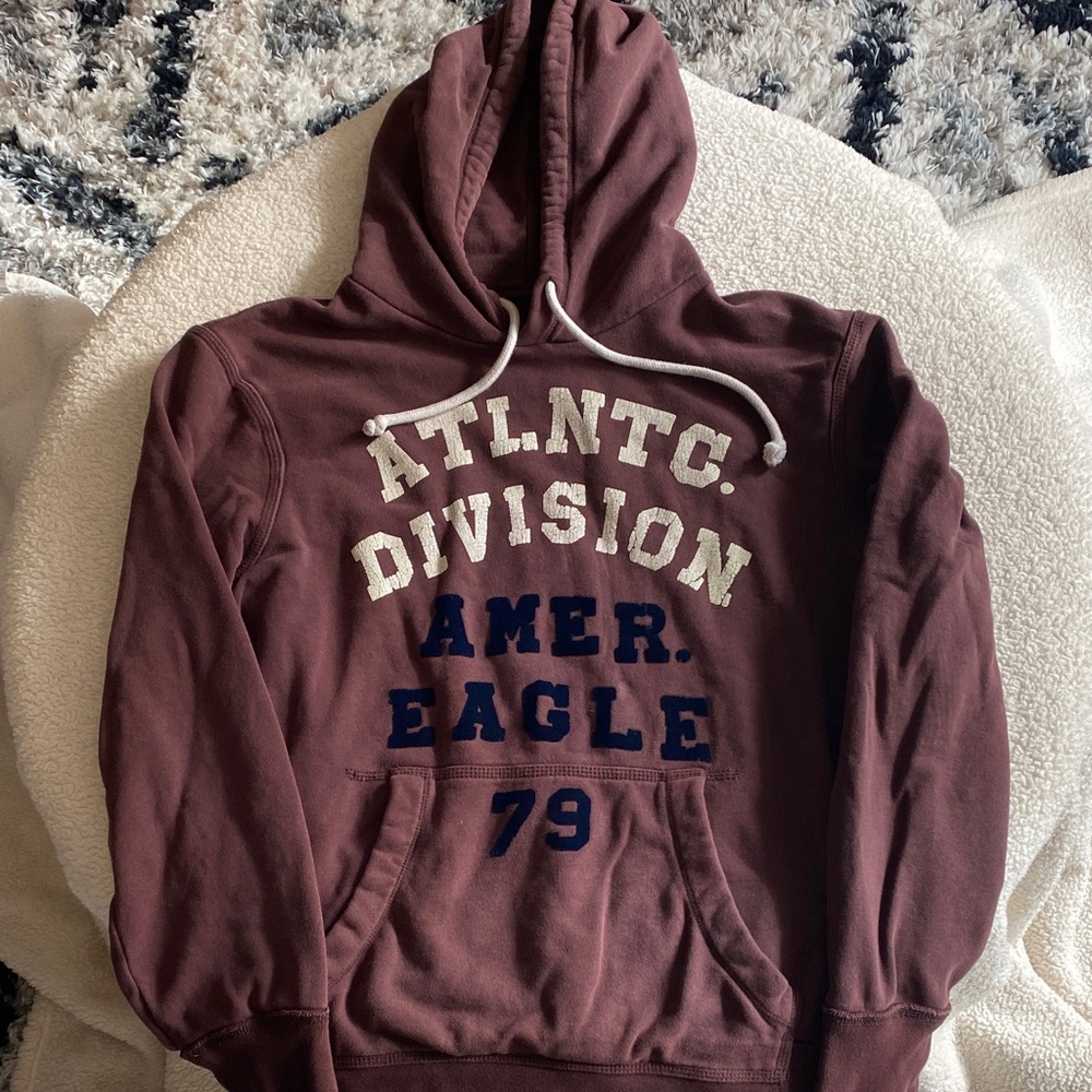 American Eagle Brown Hoodie